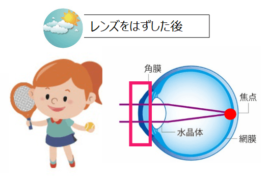 レンズを外したときのイメージ